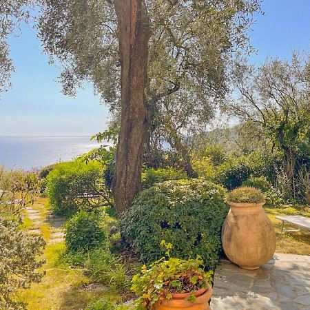Vila L'Uliveto Di Santa Con Piscina Santa Margherita Ligure Exteriér fotografie